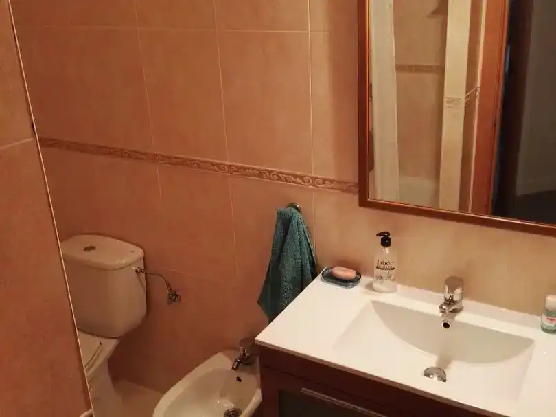 Bany de Dúplex en venda en El Molar (Madrid)