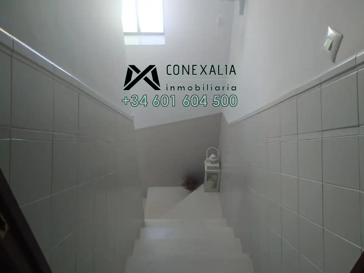 House with terrace for sale in Olvera, imagen 11