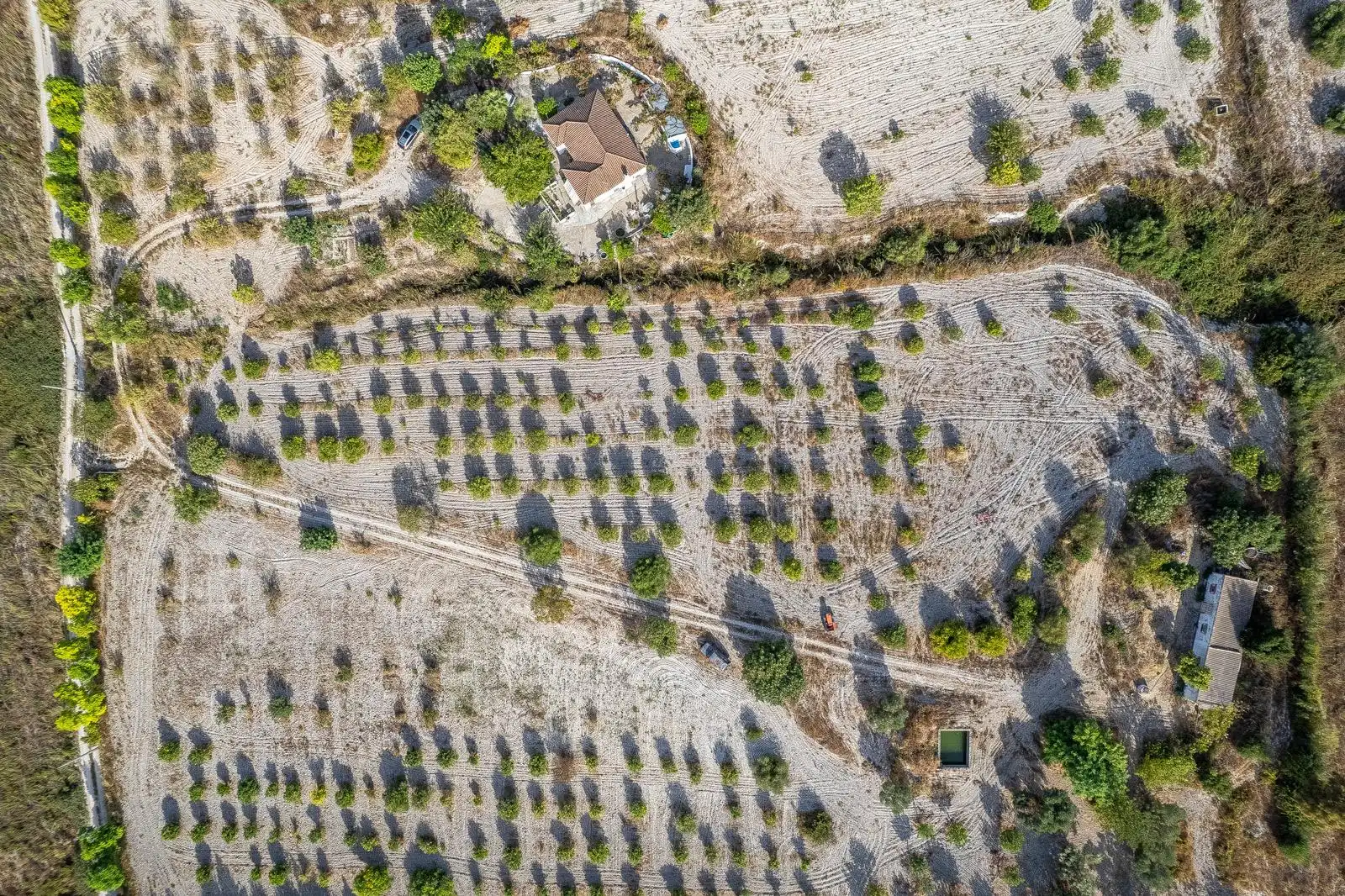 Casa amb jardí en venda a Arcos de la Frontera, imagen 21