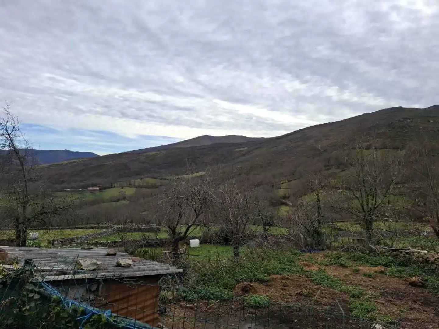 Casa o chalet en venta en Los Tojos 
