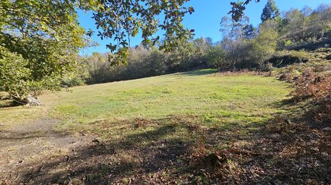 FINCA RUSTICA DE 14.654 m, imagen 2