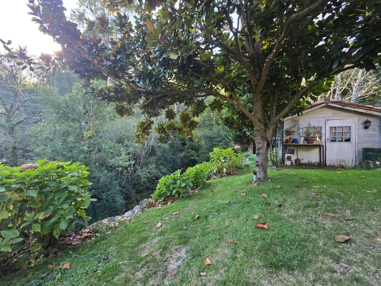 Jardín de Casa o chalet en venta en Ribadesella, Asturias