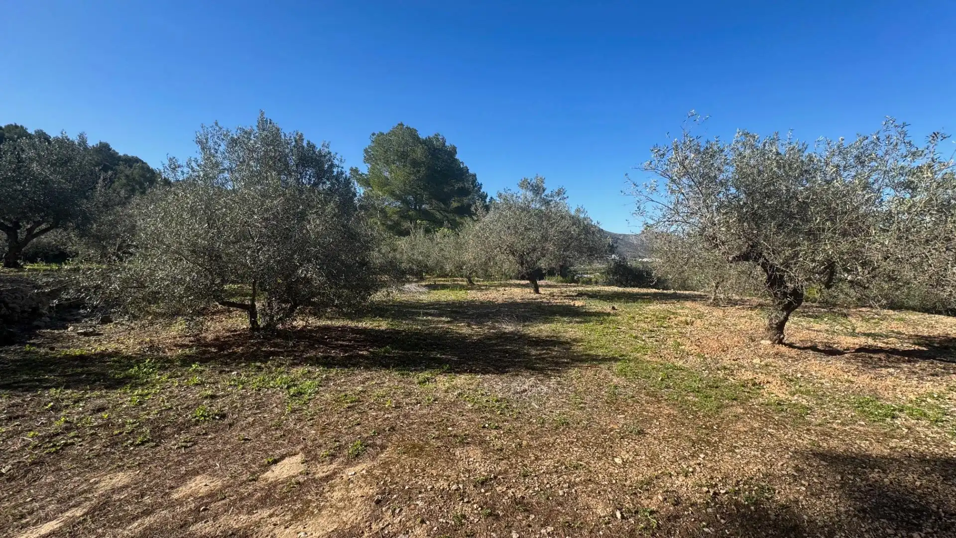 Terrenos y solares en venta en Orba, imagen 7
