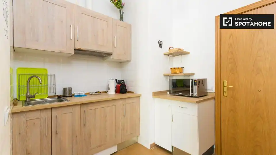 Appartamento con terrazza in affitto a Centro, imagen 11