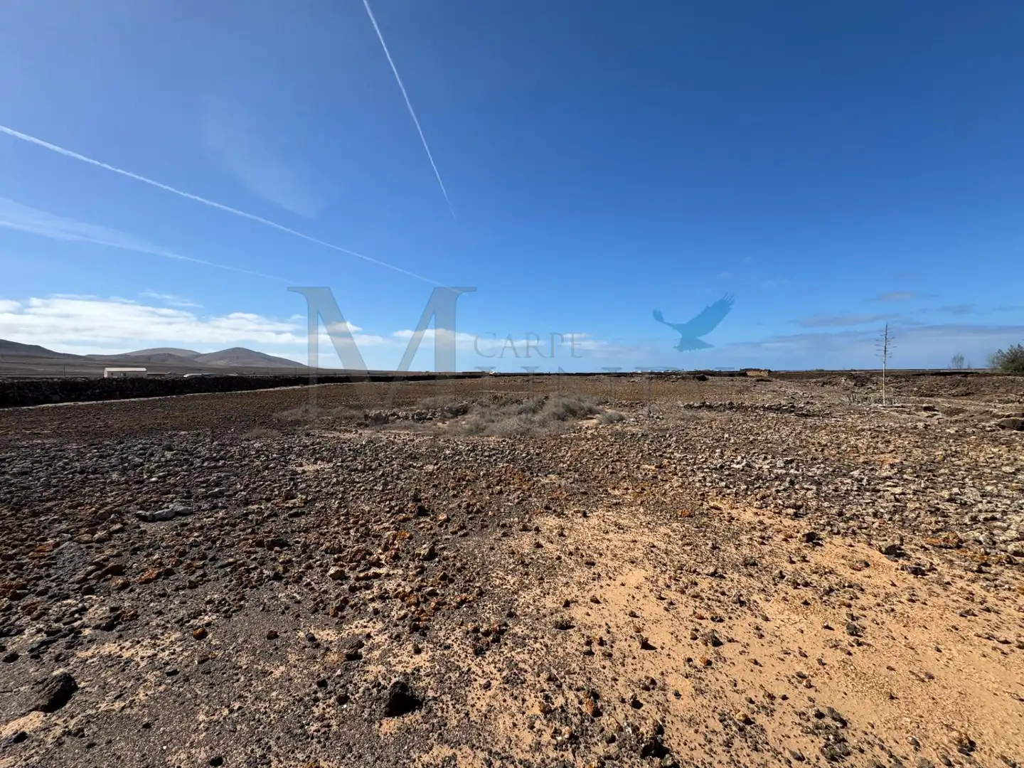 Land for sale in La Oliva