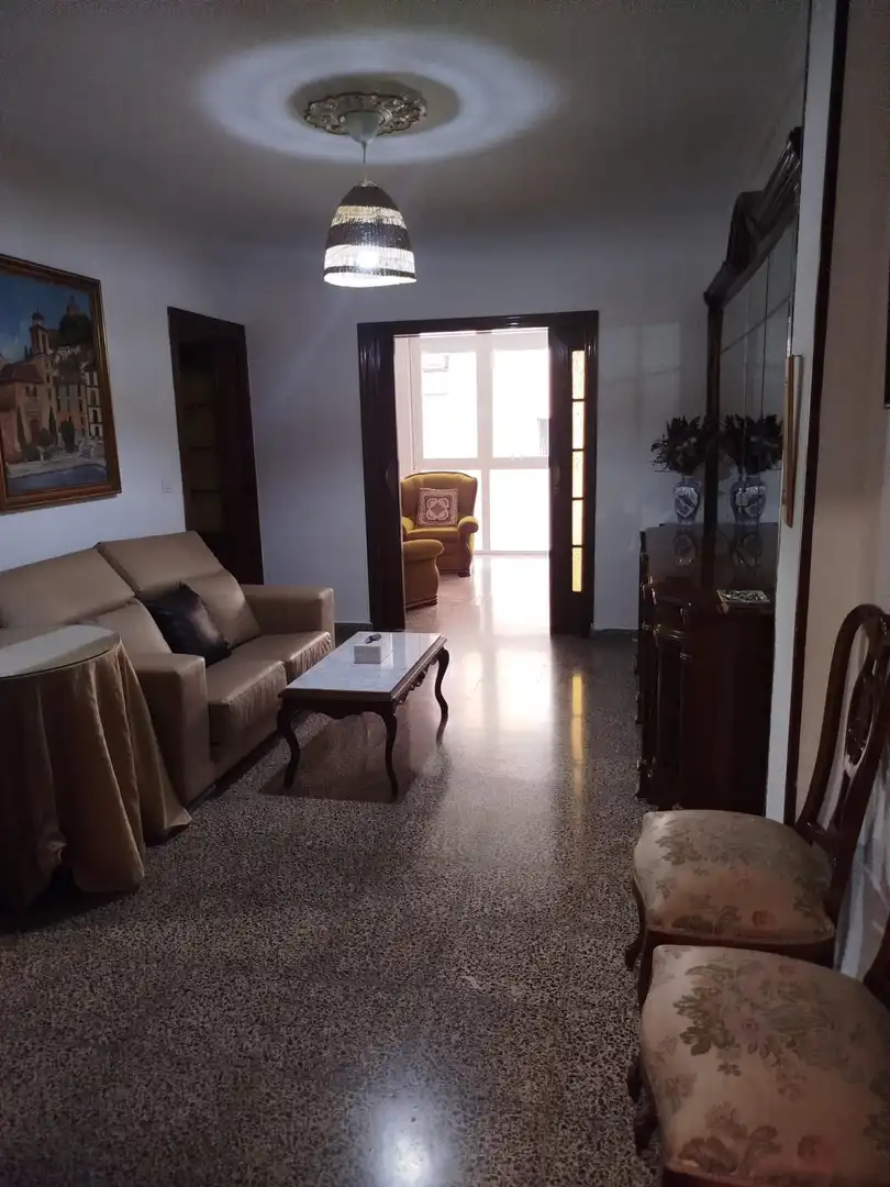 Sala d'estar de Pis de lloguer en Ronda