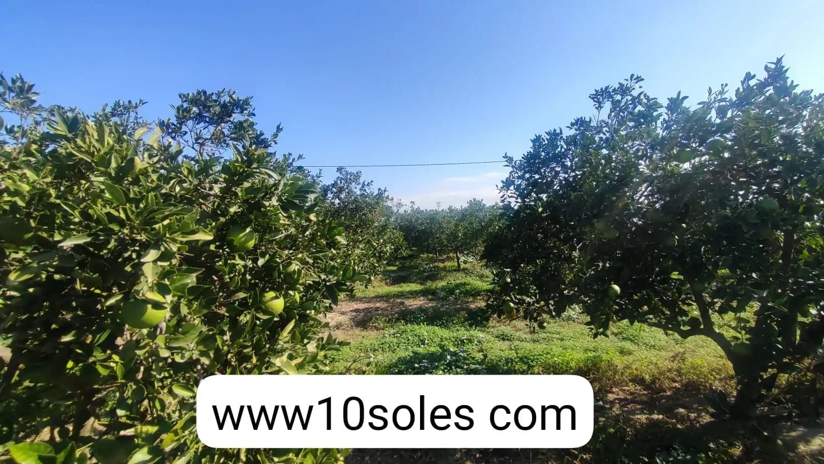 Terreno rustico in vendita a Jacarilla, imagen 13
