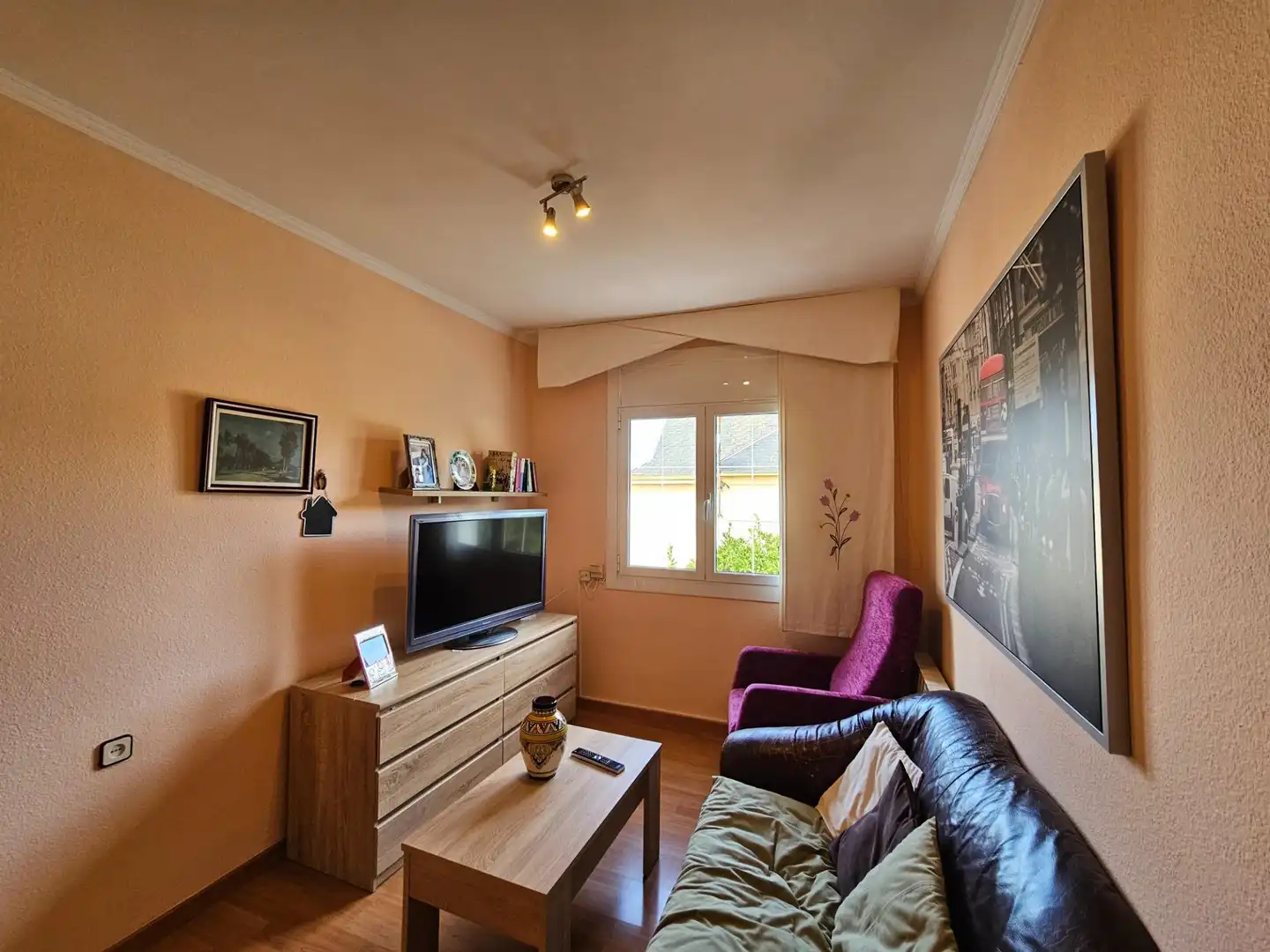 Sala de estar de Casa o chalet en venta en Canovelles