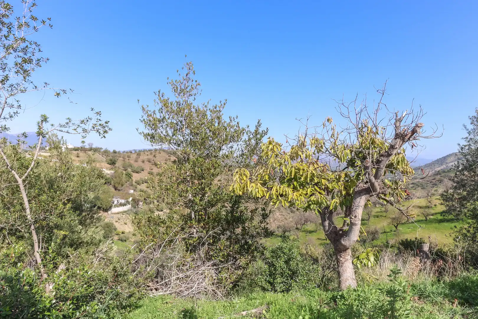 Casa con jardín en venta en Avenida de Andalucía, imagen 23