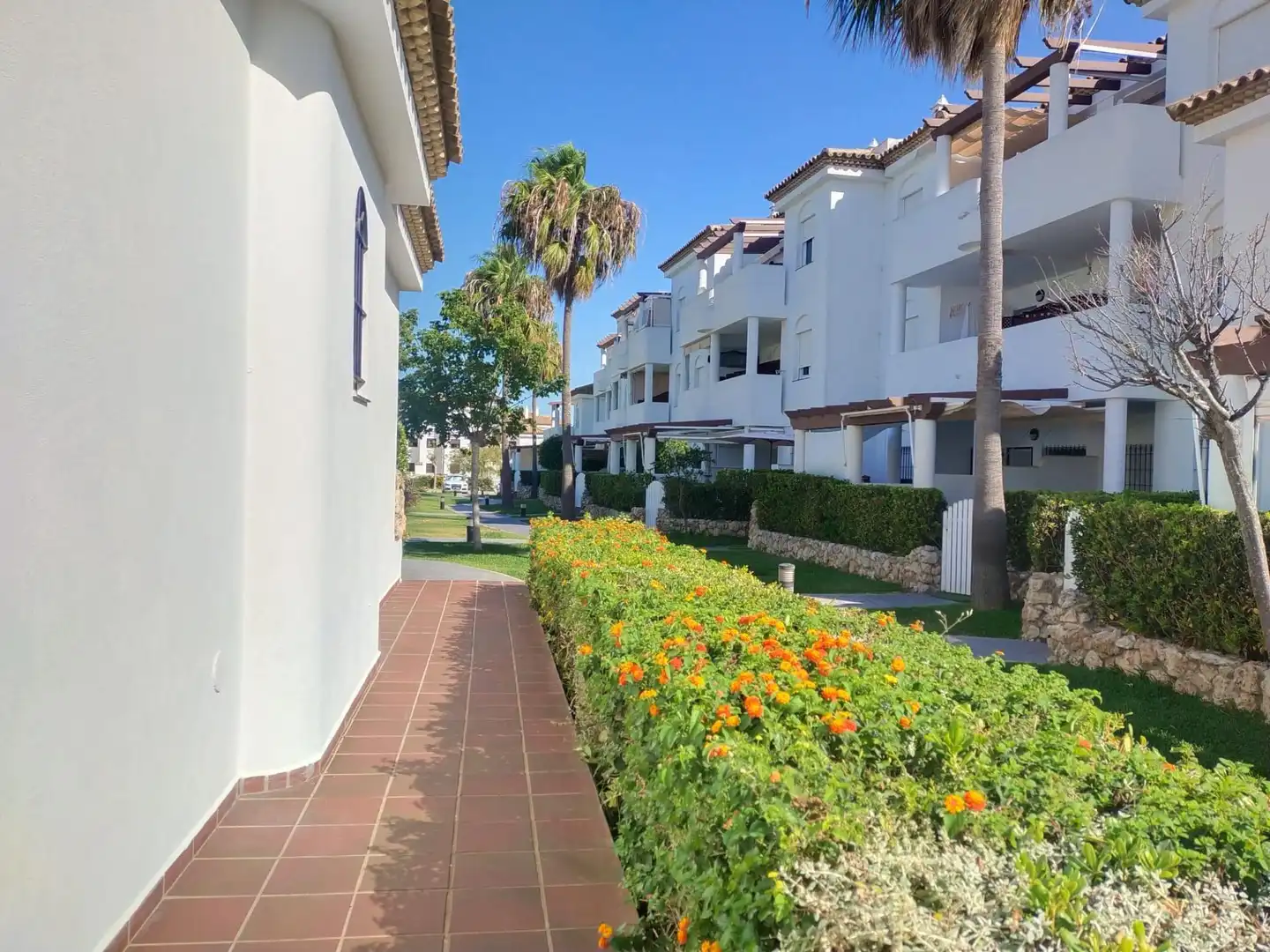 Vista exterior de Apartamento en venta en Chiclana de la Frontera con Jardín privado, Terraza y Amueblado