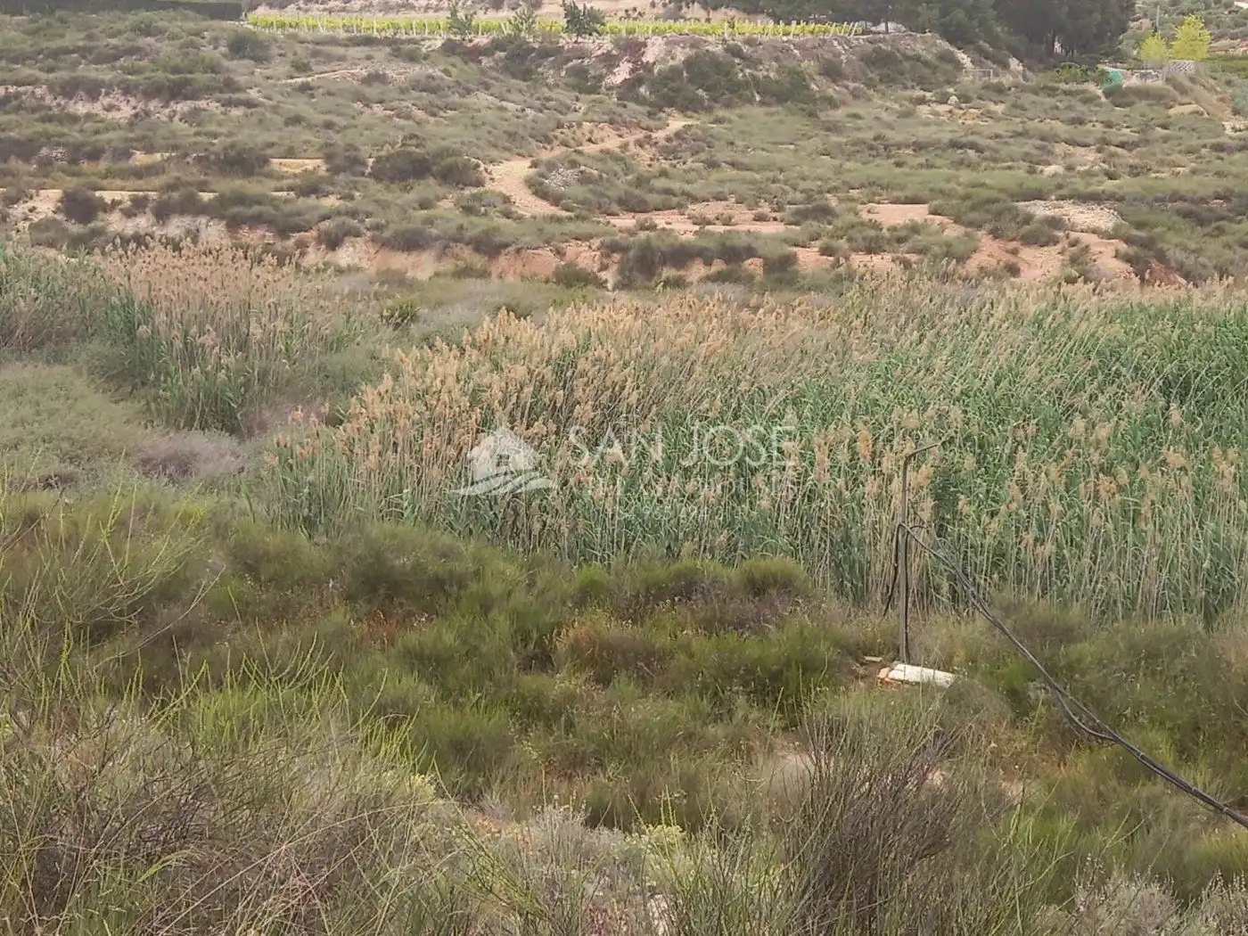 Rural land for sale in Novelda, imagen 5