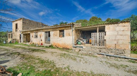 Finca para reformar con un terreno de 160.000 m2 en las afueras de Artà, imatge 5