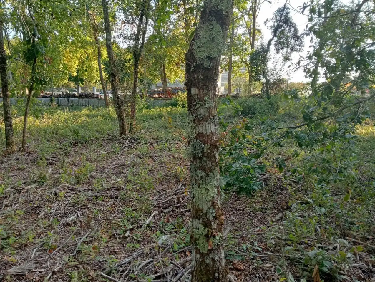 Terreni e lotti in vendita a Nogueira de Ramuín, imagen 13