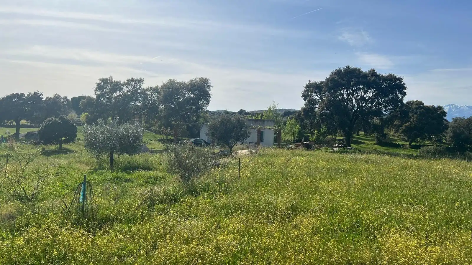 Grundstücke zum Verkauf in Montesclaros