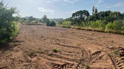 Huerto en Bot con casita de piedra junto al rio Canaletes., immagine 3