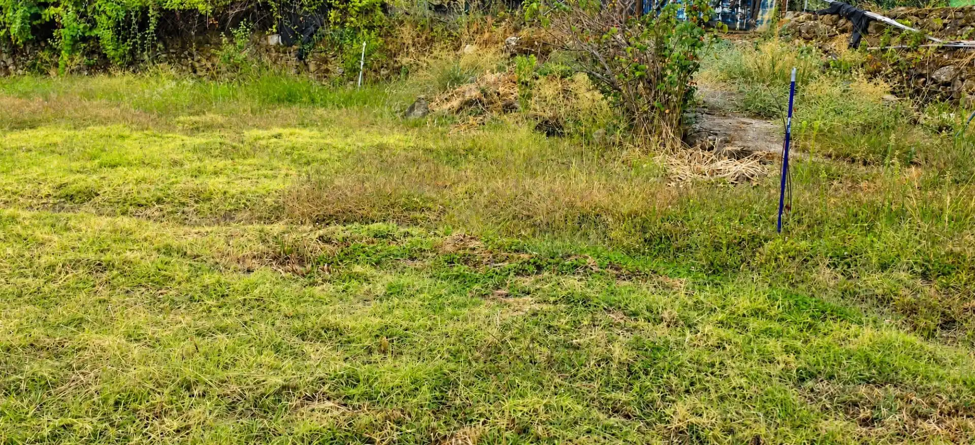 Terreny rústic en venda a Jaraíz de la Vera, imagen 8