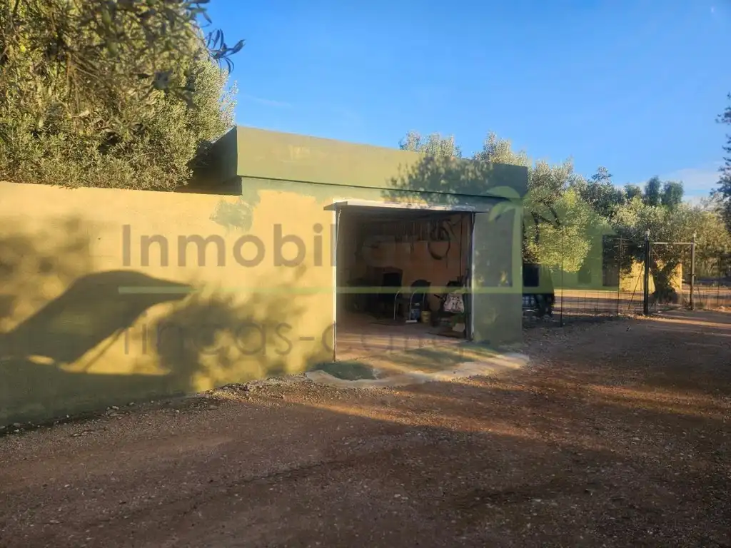 Vista exterior de Finca rústica en venta en Canet lo Roig con Jardín privado