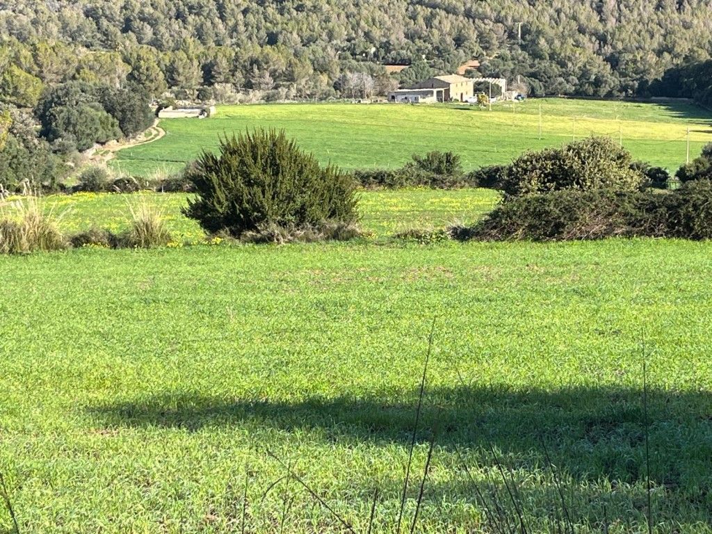 Finca rústica en venta en Artà con Trastero
