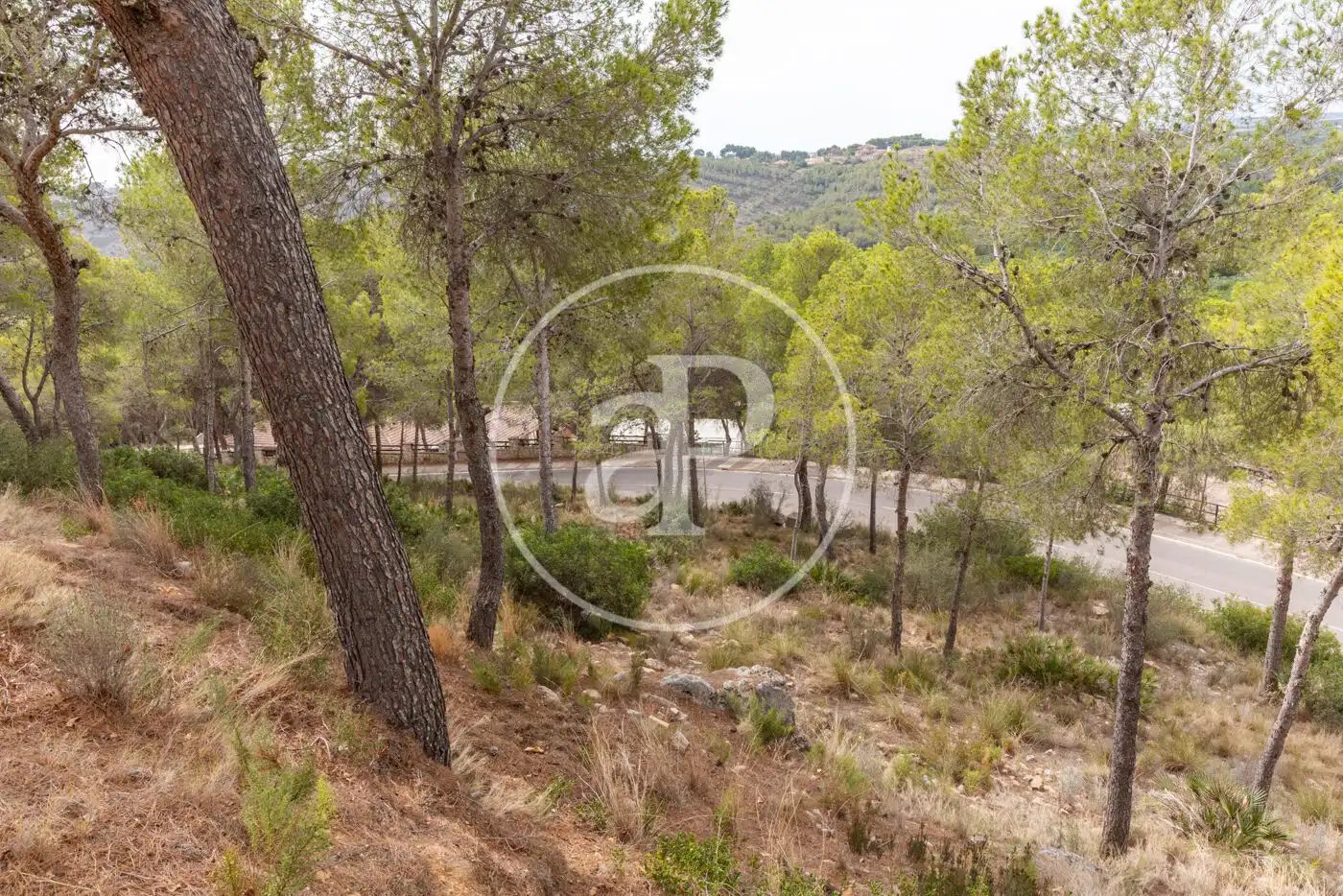 Wohnbaugrundstück zum Verkauf in El Bosque, imagen 20