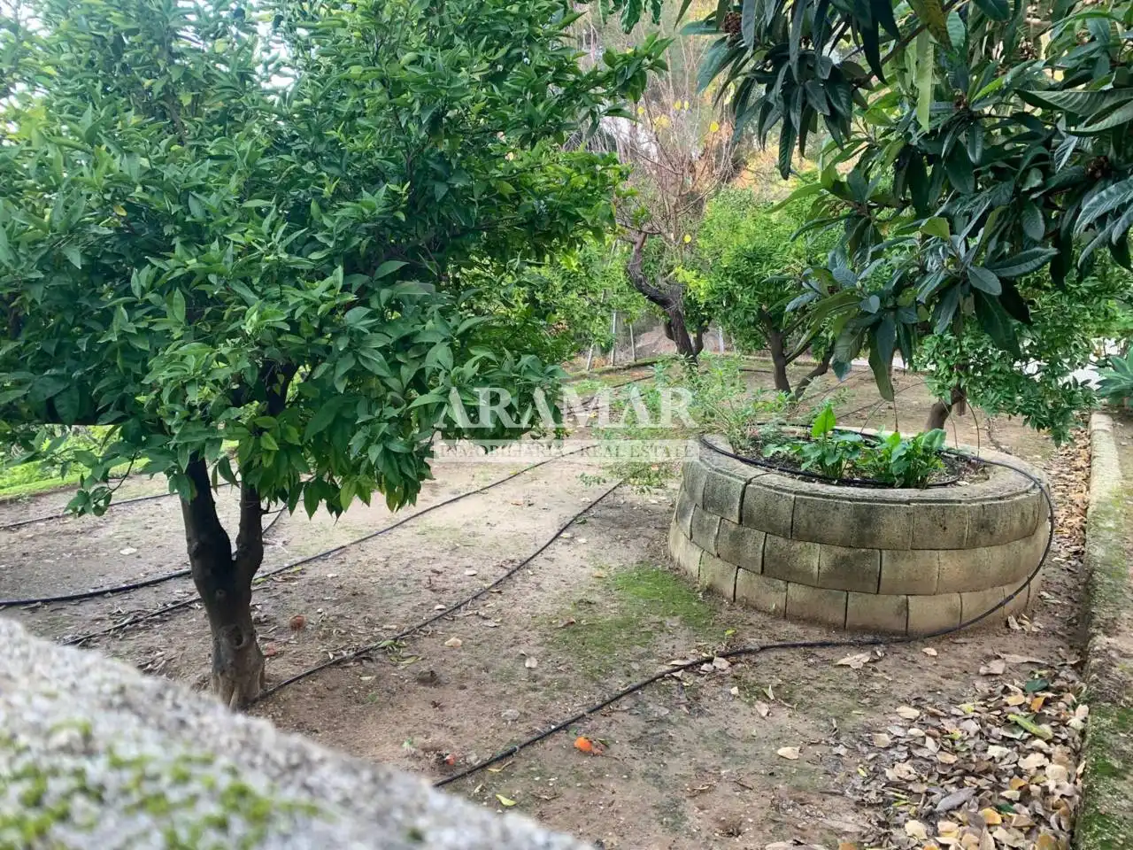 Villa zum Verkauf in Avenida Pego, imagen 6