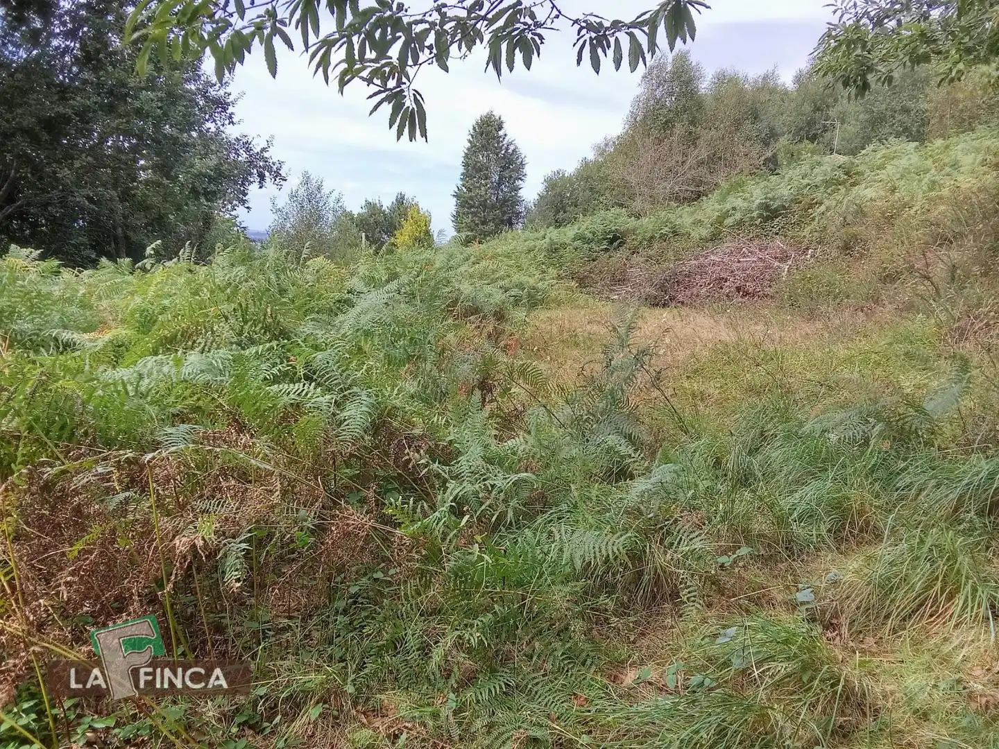 Residencial en venta en Siero