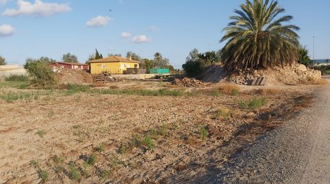 FANTASTICO TERRENO EN CREVILLENTE, ALICANTE, COSTA BLANCA SUR, imatge 5
