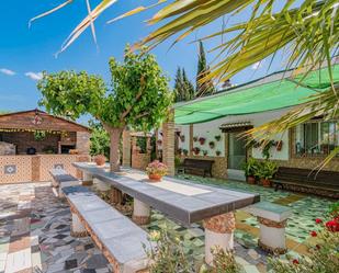 Garden of Country house for sale in Pinos Puente  with Private garden, Terrace and Swimming Pool