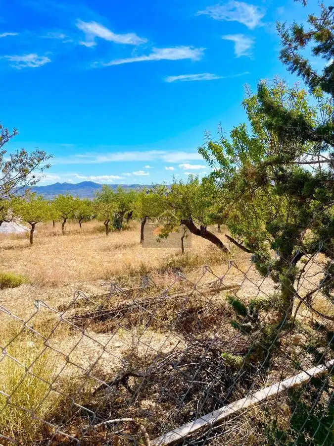 Houses for sale in Vélez-Blanco