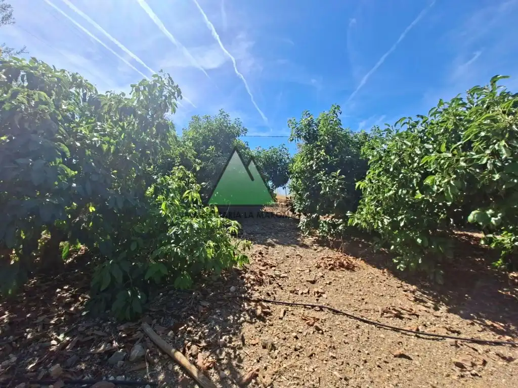 Country house for sale in Alcaucín, imagen 2