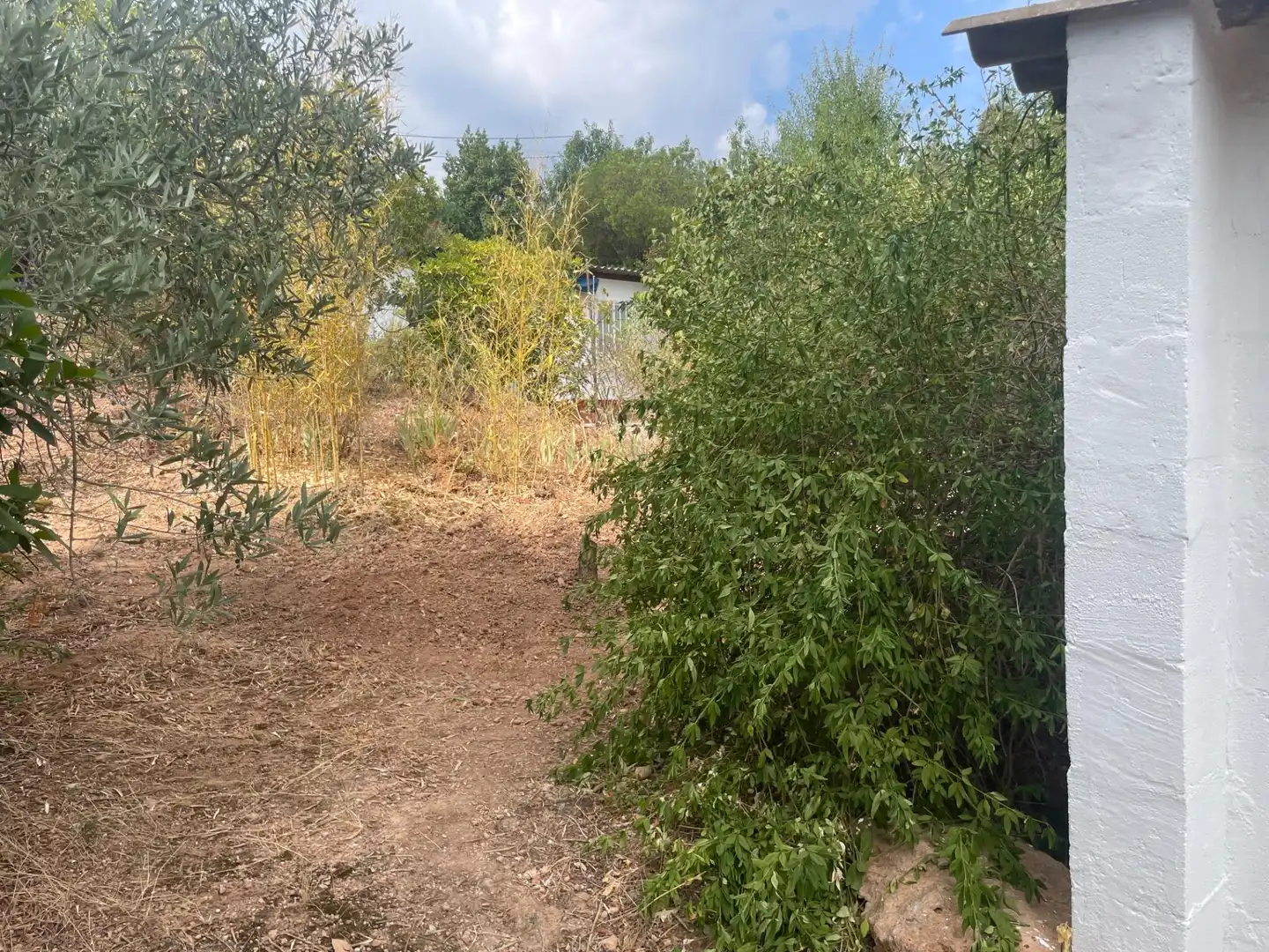 Terreno residencial en venta en Carrer CASTILLO CABRER, imagen 31