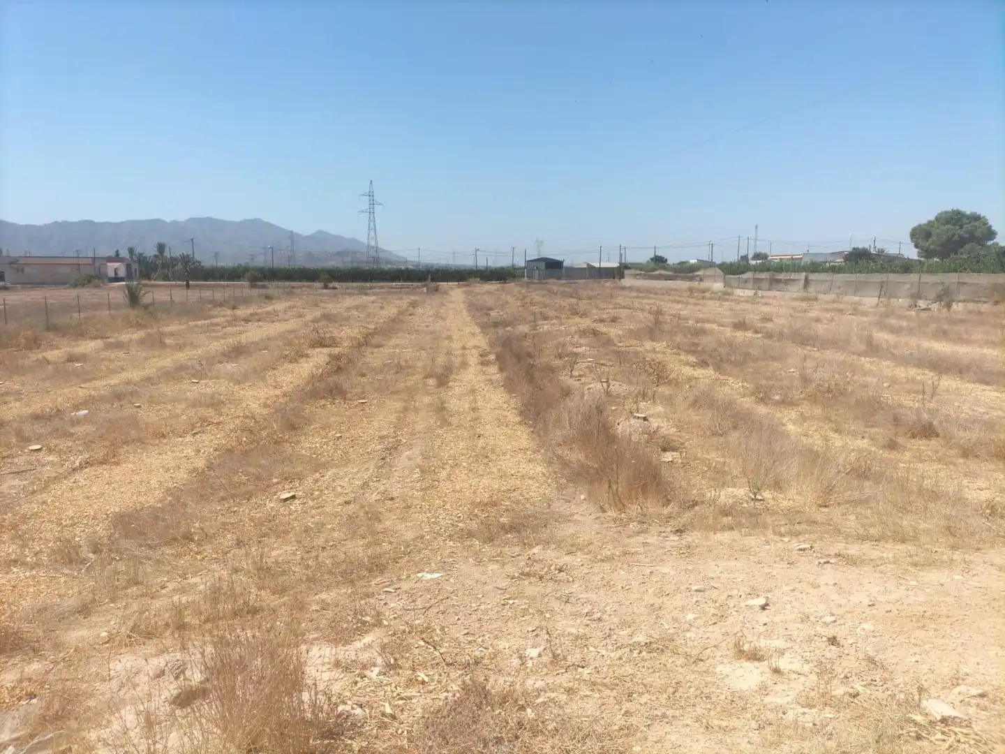 Rural land for sale in La Murada - Los Vicentes, imagen 9