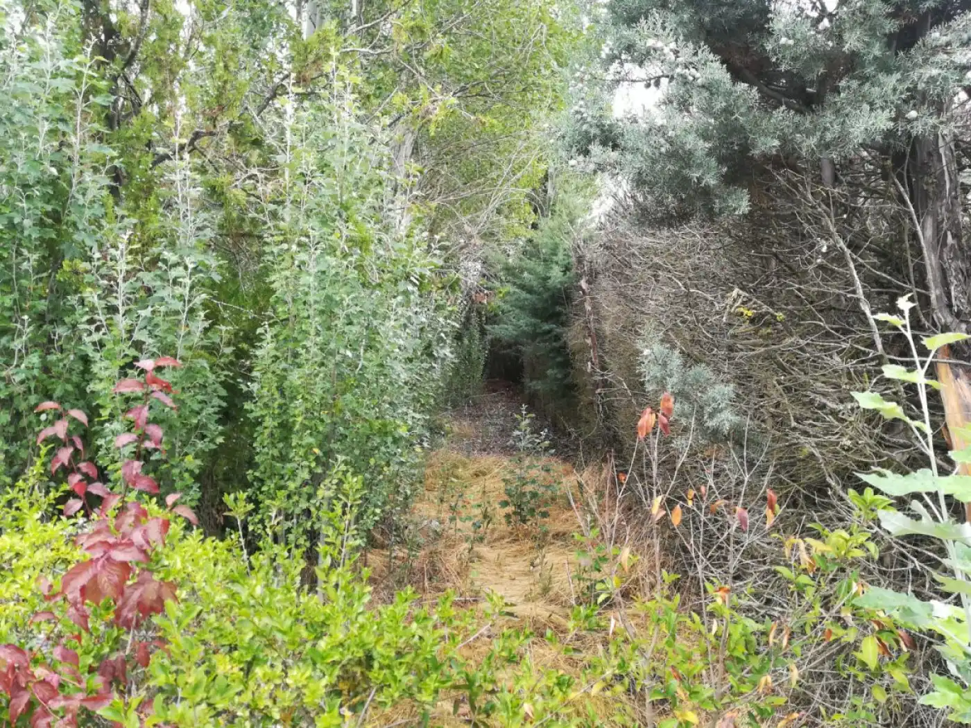 Casa rústica en venda a Urbanizacion Urbanizacion LA VIÑA, ULTIM, imagen 16
