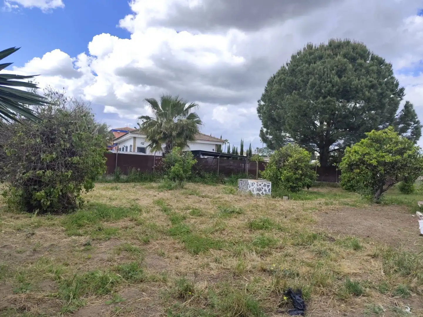 Casa o xalet en venda en Hinojos amb Jardí privat, Terrassa i Traster