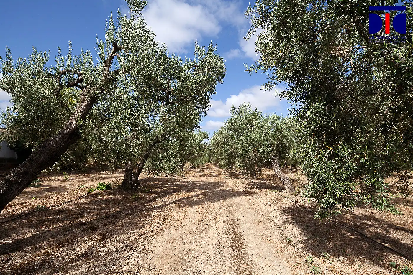 Finca rústica en venta en Carmona con Jardín privado, Terraza y Piscina