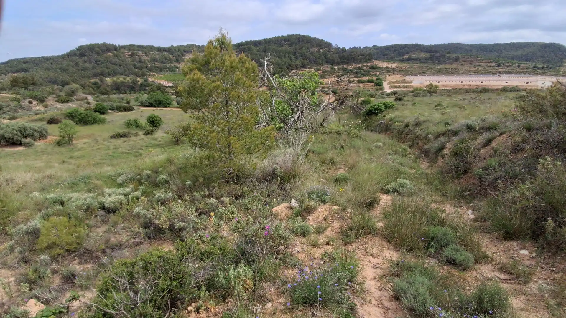 Rural land for sale in Gandesa, imagen 10