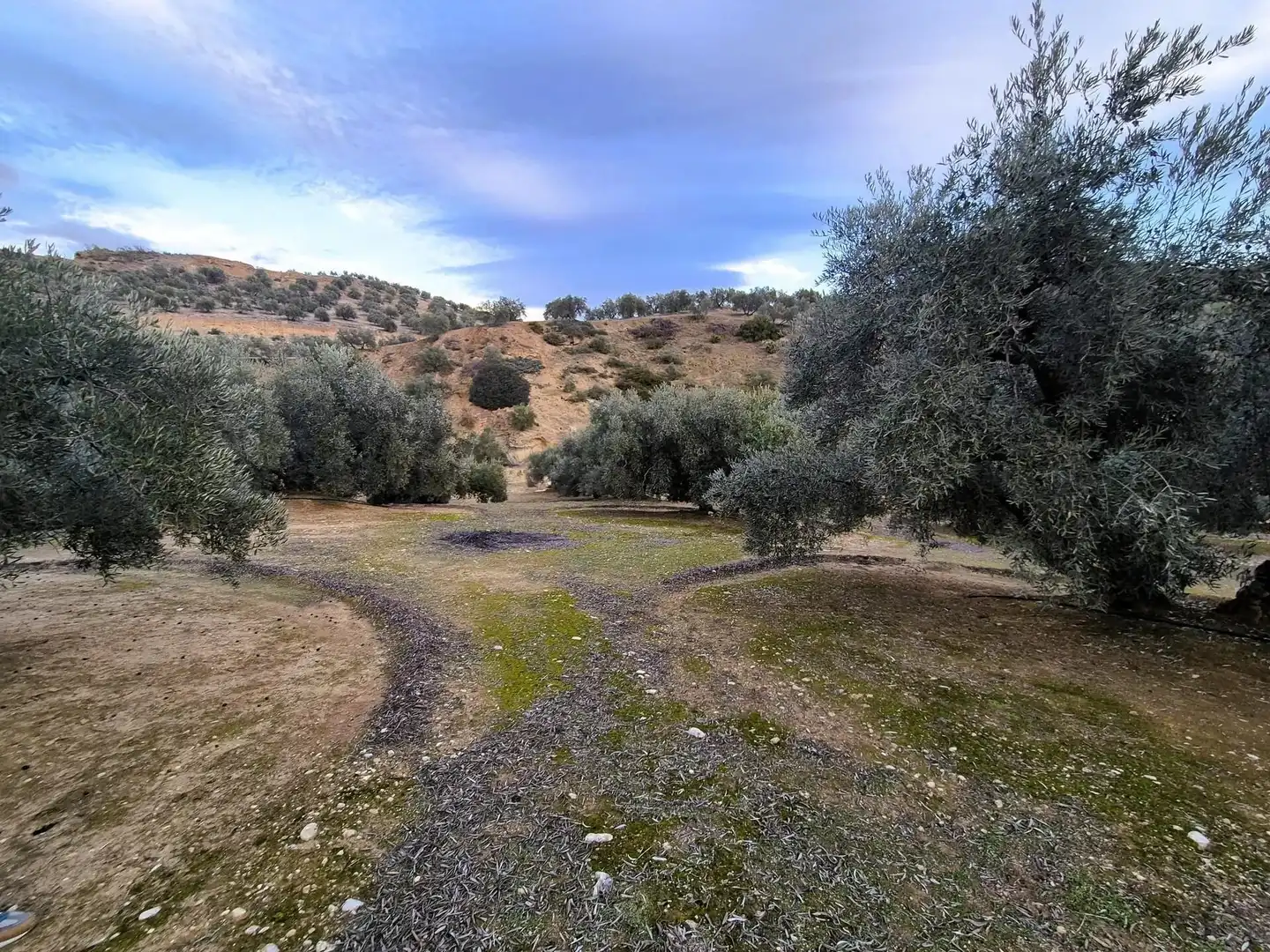 Rural land for sale in Huétor Tájar, imagen 28