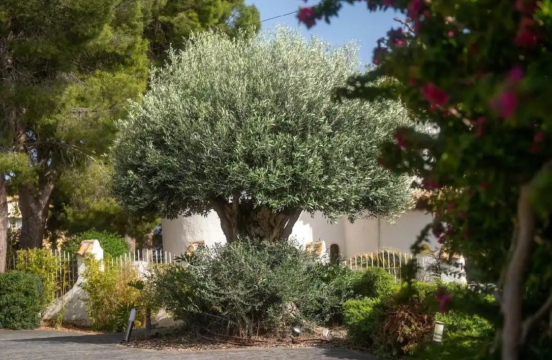 Jardín de Casa o chalet en venta en Altea con Aire acondicionado, Jardín privado y Terraza