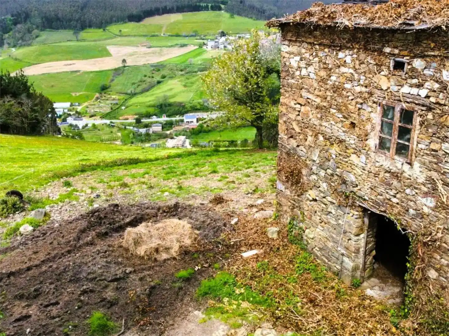Jardí de Pis en venda en Castropol