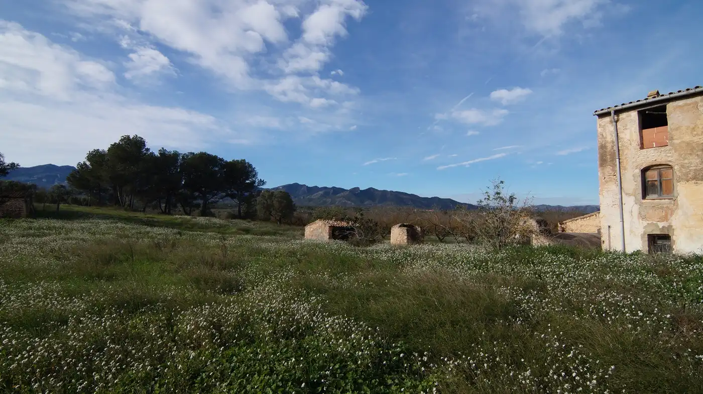 Terreno en venta en Tivissa
