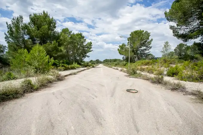 Rural land for sale in C/ Puntiro, imagen 22
