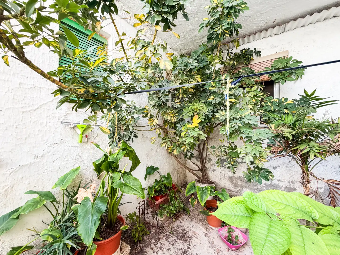 Garden of Houses for sale in Baza  with Terrace, Furnished and Balcony