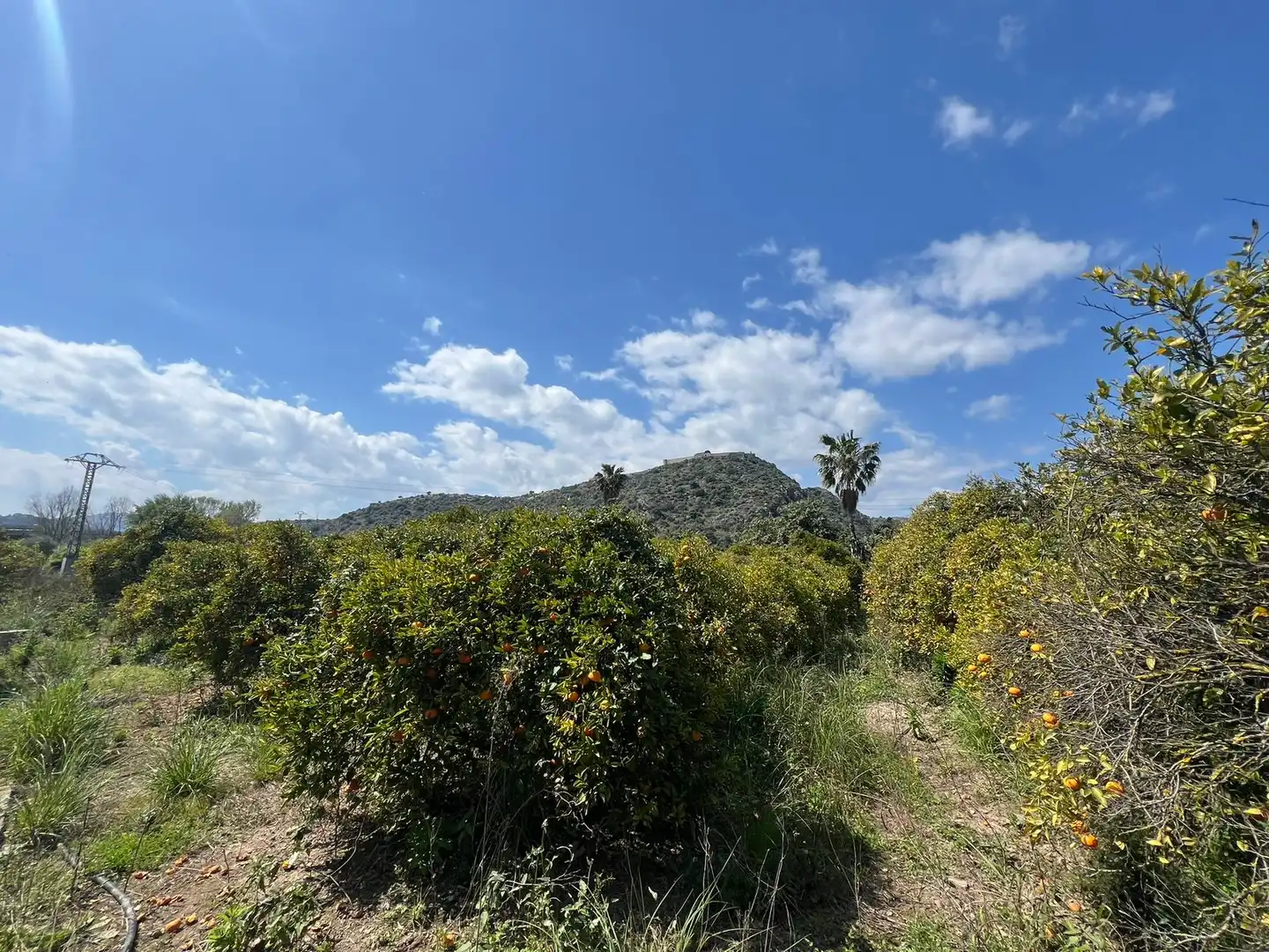 Finca rústica en venta en Urbanizaciones
