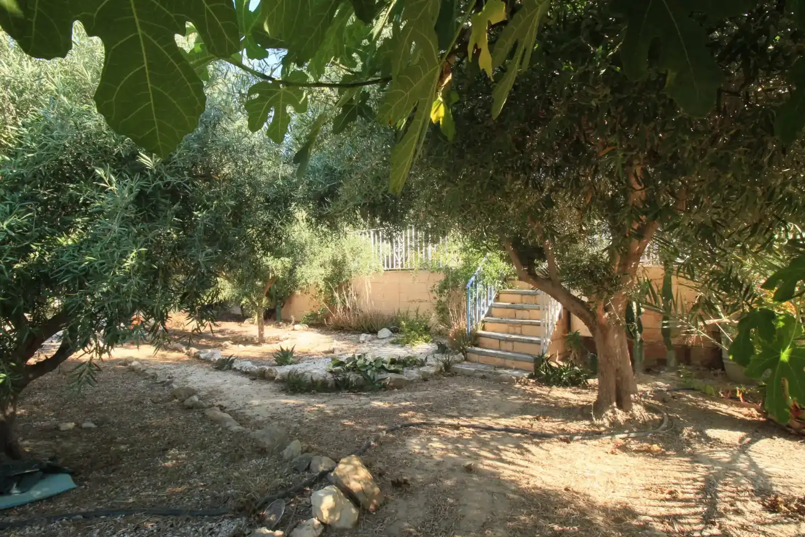 Finca rústica en venda en Alicante / Alacant amb Aire condicionat i Piscina