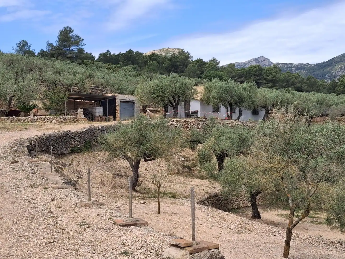 Terreno rustico in vendita a El Perelló, imagen 13
