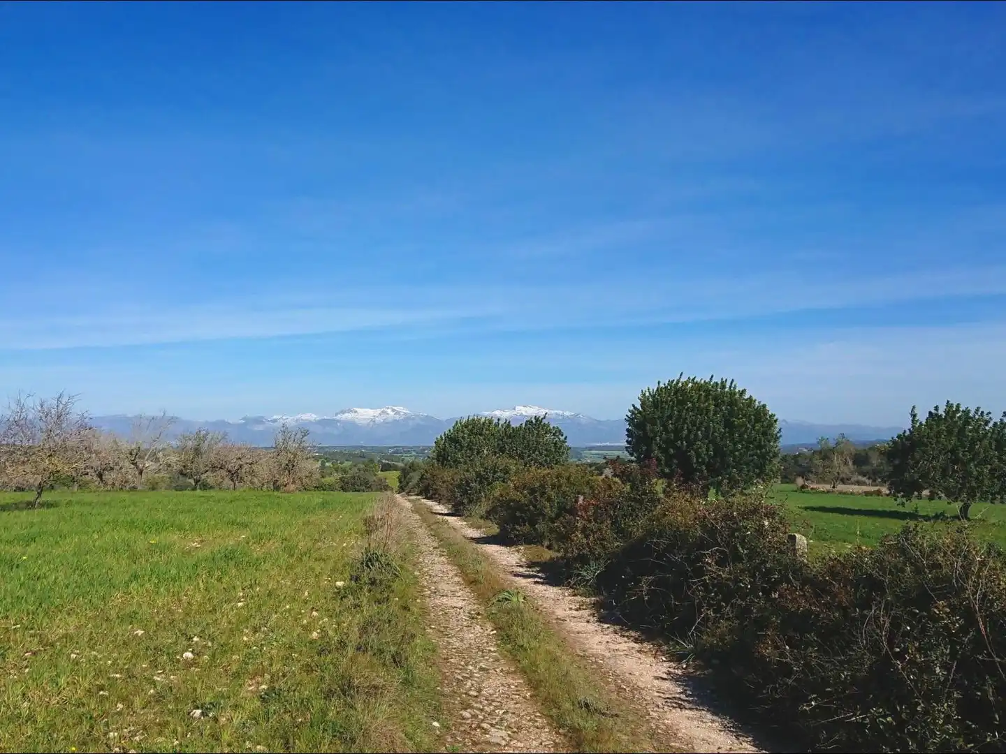 Country house with pool for sale in Algaida, imagen 4