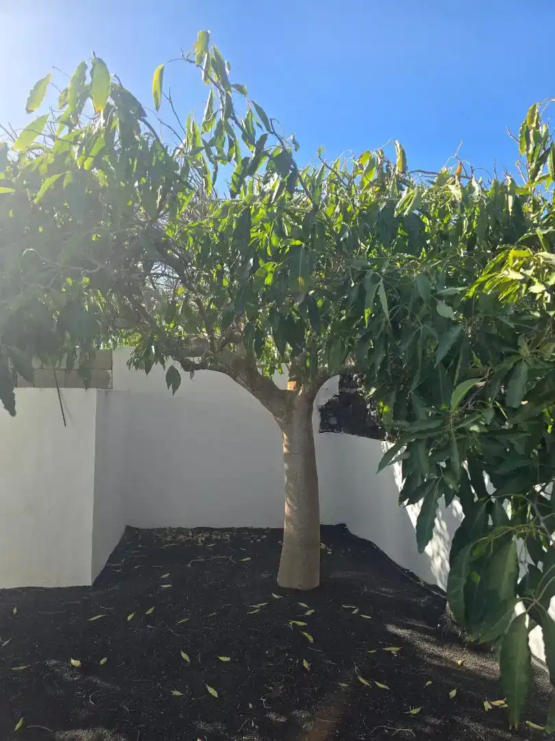 Garden of Houses for sale in Tías  with Air Conditioner, Private garden and Storage room