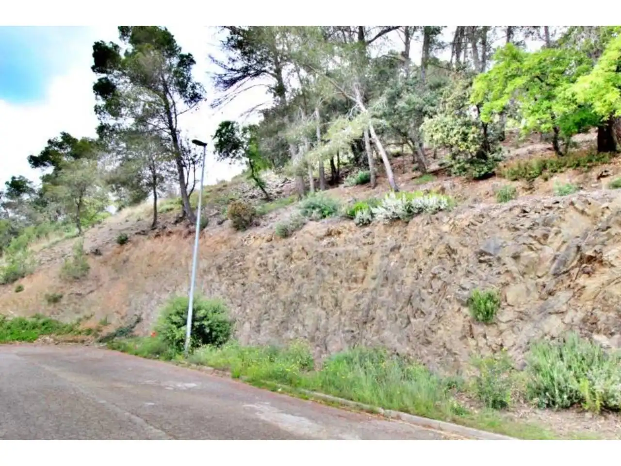 Rural land for sale in Calle Llosa, imagen 2