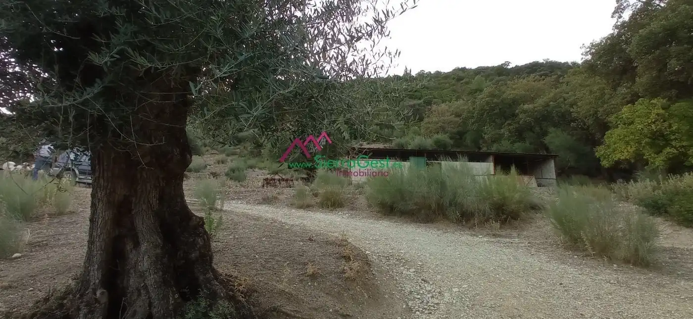 Terreni e lotti in vendita a Benaocaz, imagen 49