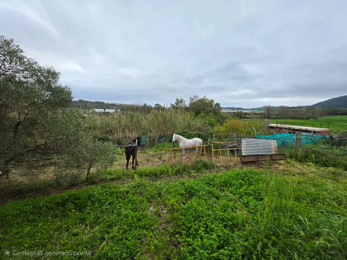 Terreni e lotti in vendita a La Granja - La Colina - Los Pastores, imagen 6