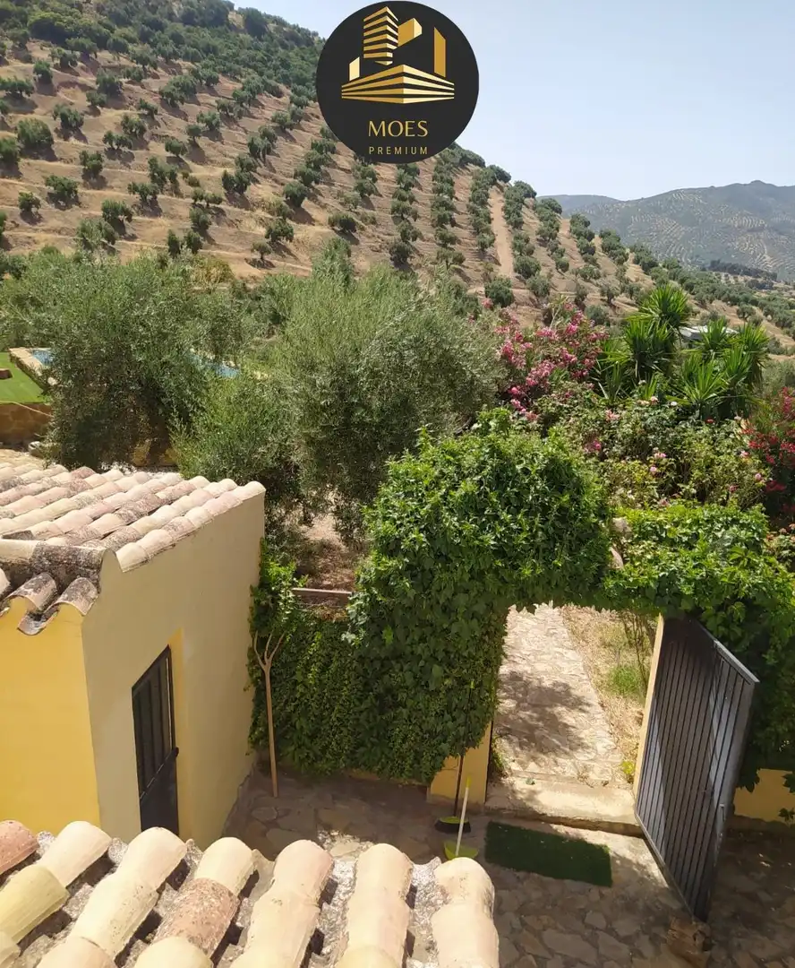 House with terrace for sale in Martos, imagen 14